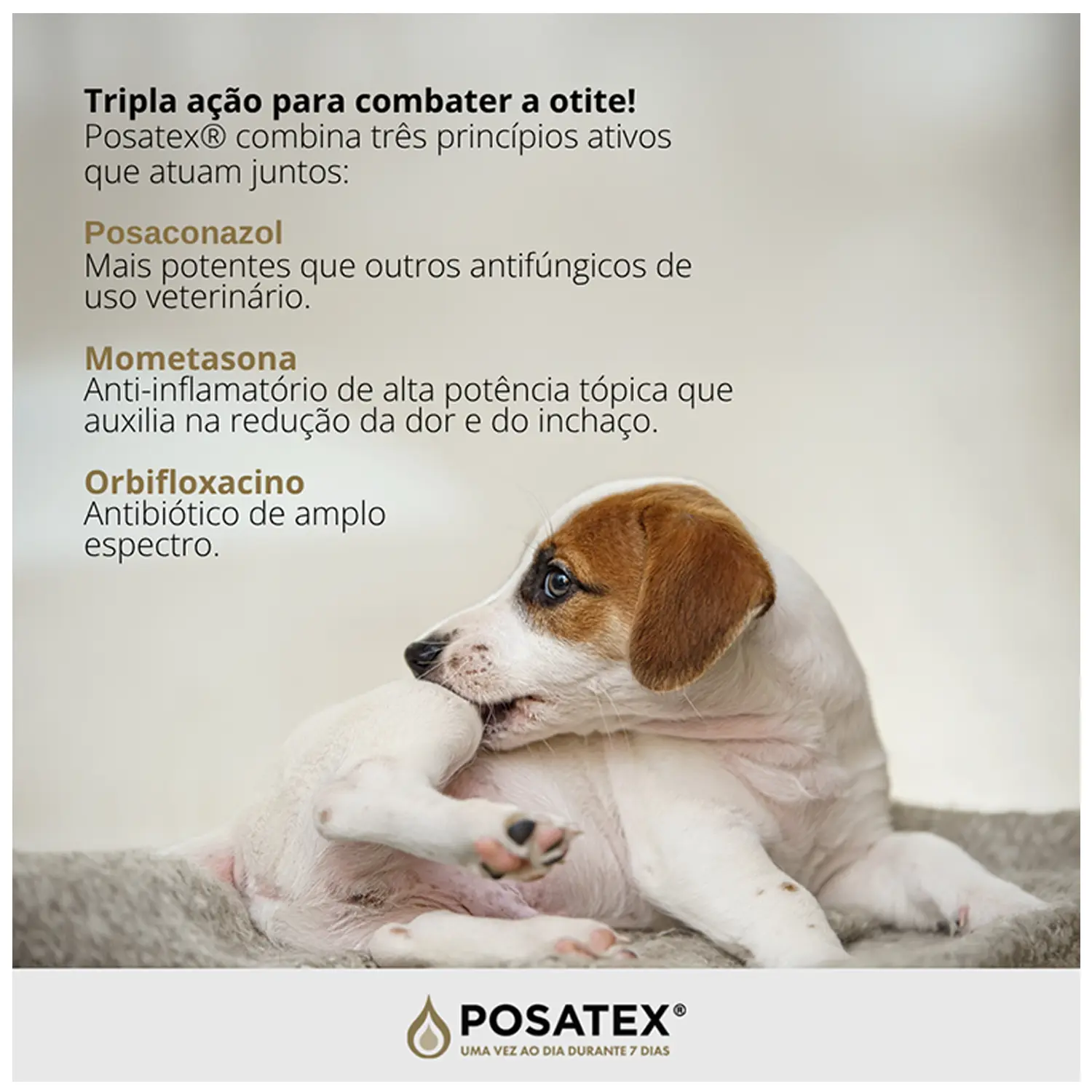 Posatex Suspensão Otológica para Cães